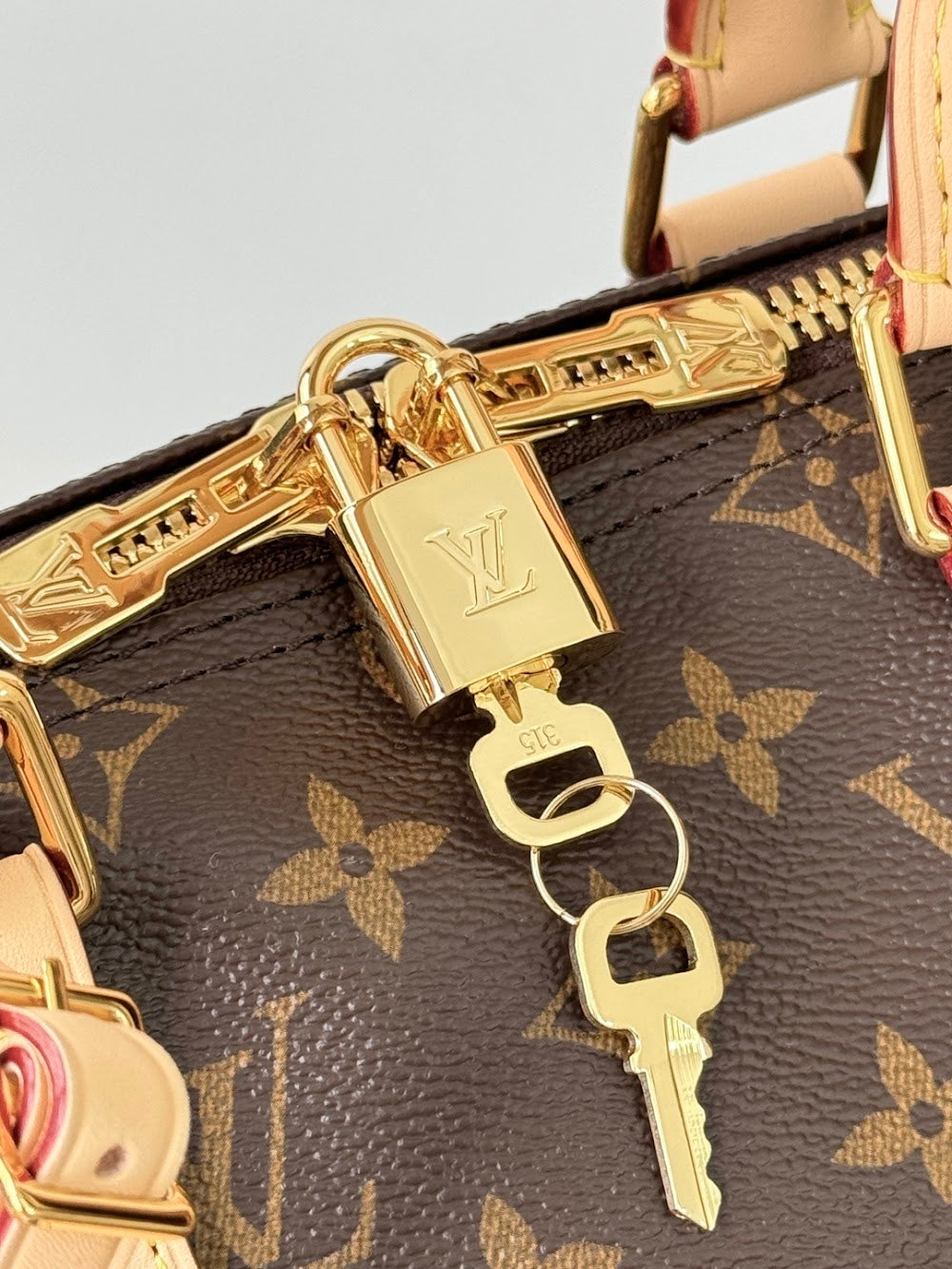 Dragons Bags ln Luxury Bag --96772