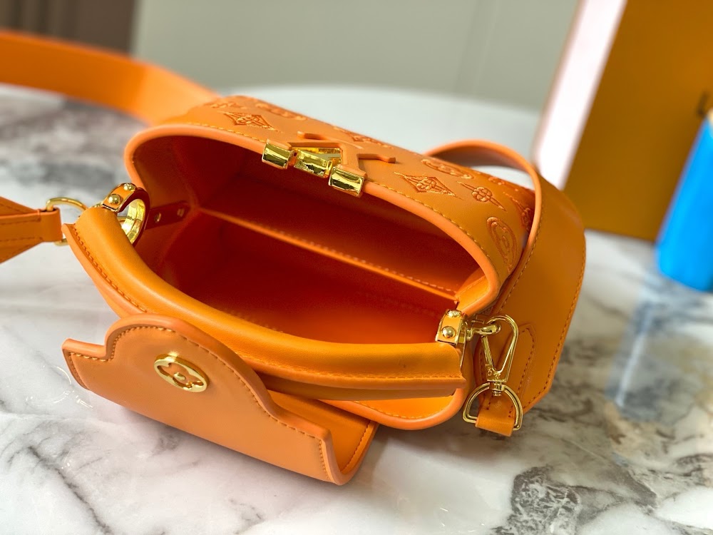 Dragons Bags LVn Luxury Bag --78700