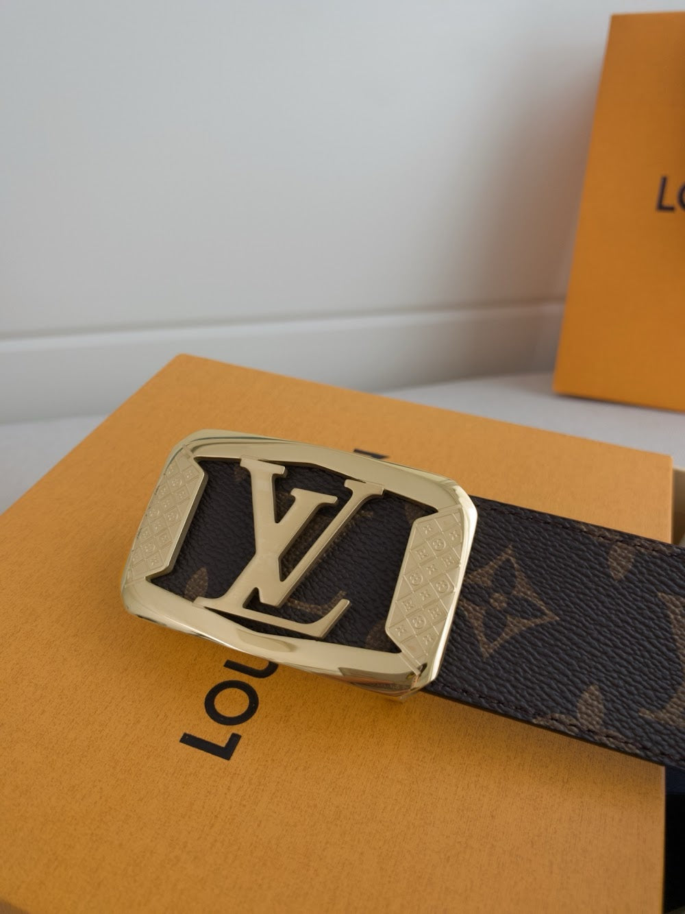 Dragons Bags ln Luxury Belt --109593
