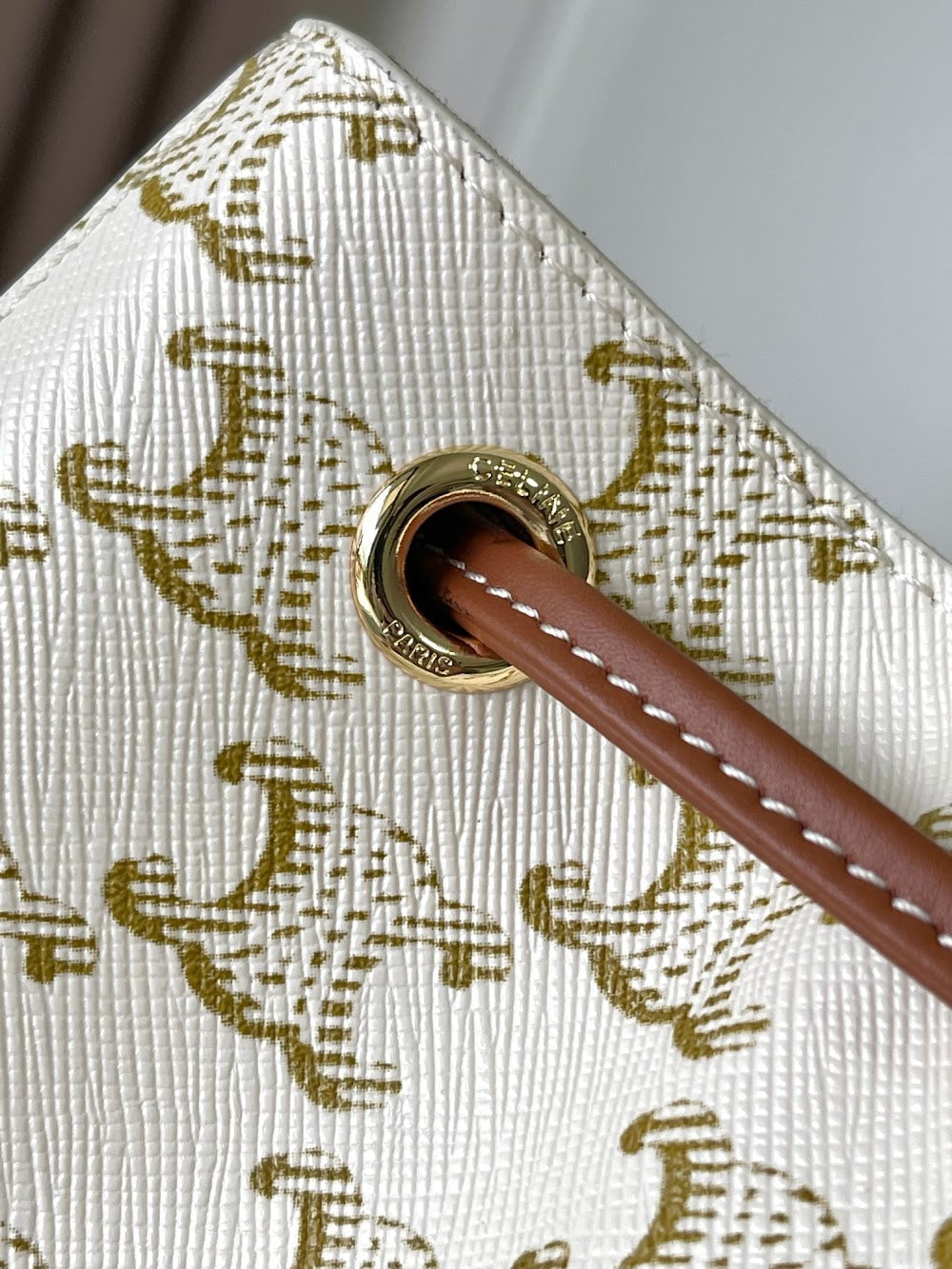 Dragons Bags Celine Luxury Bag --112320