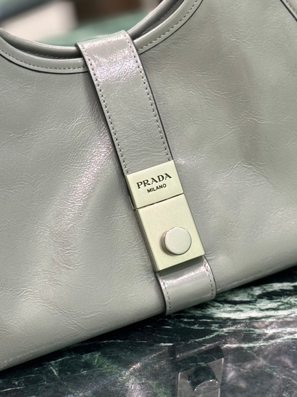 Dragons Bags Pradn Luxury Bag --102072