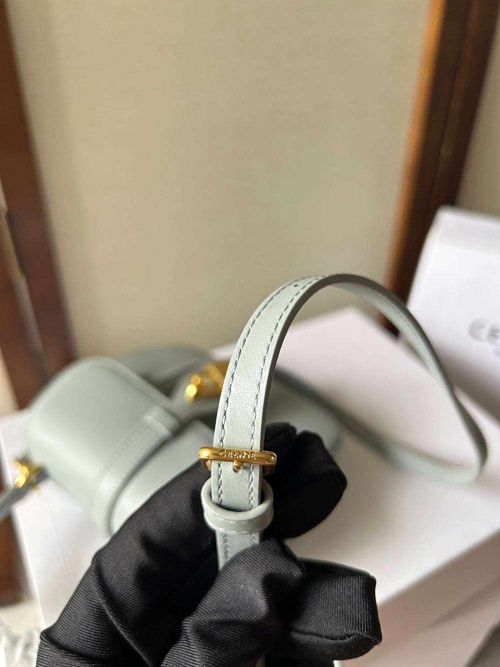 Dragons Bags Celine Luxury Bag --112515
