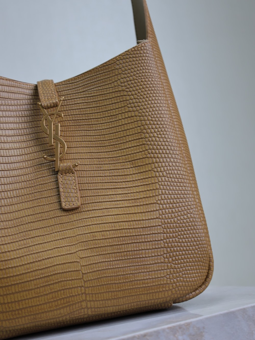 Dragons Bags YSLn Luxury Bag --119205