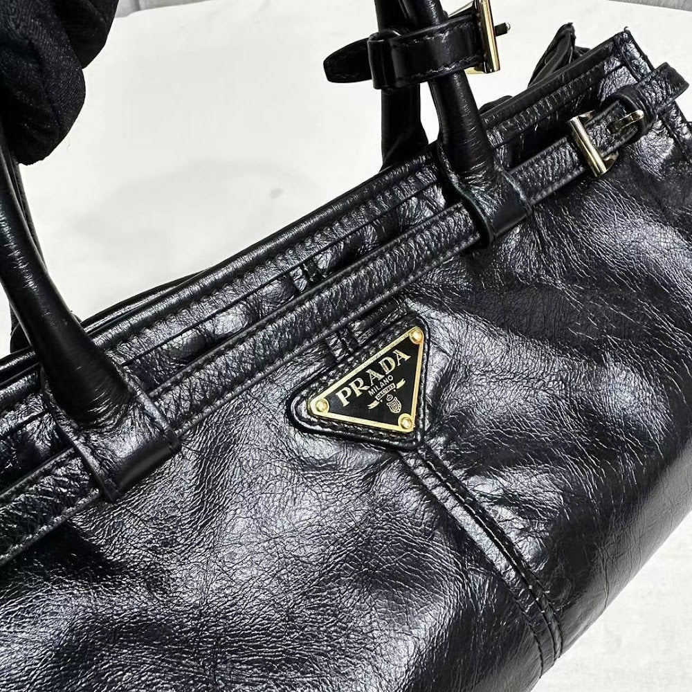 Dragons Bags Pradn Luxury Bag --102009