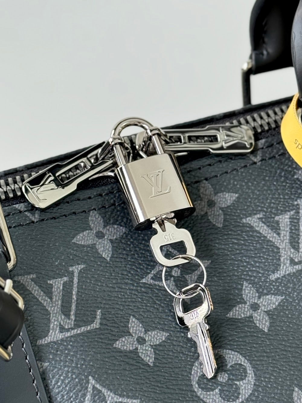 Dragons Bags ln Luxury Bag --96739