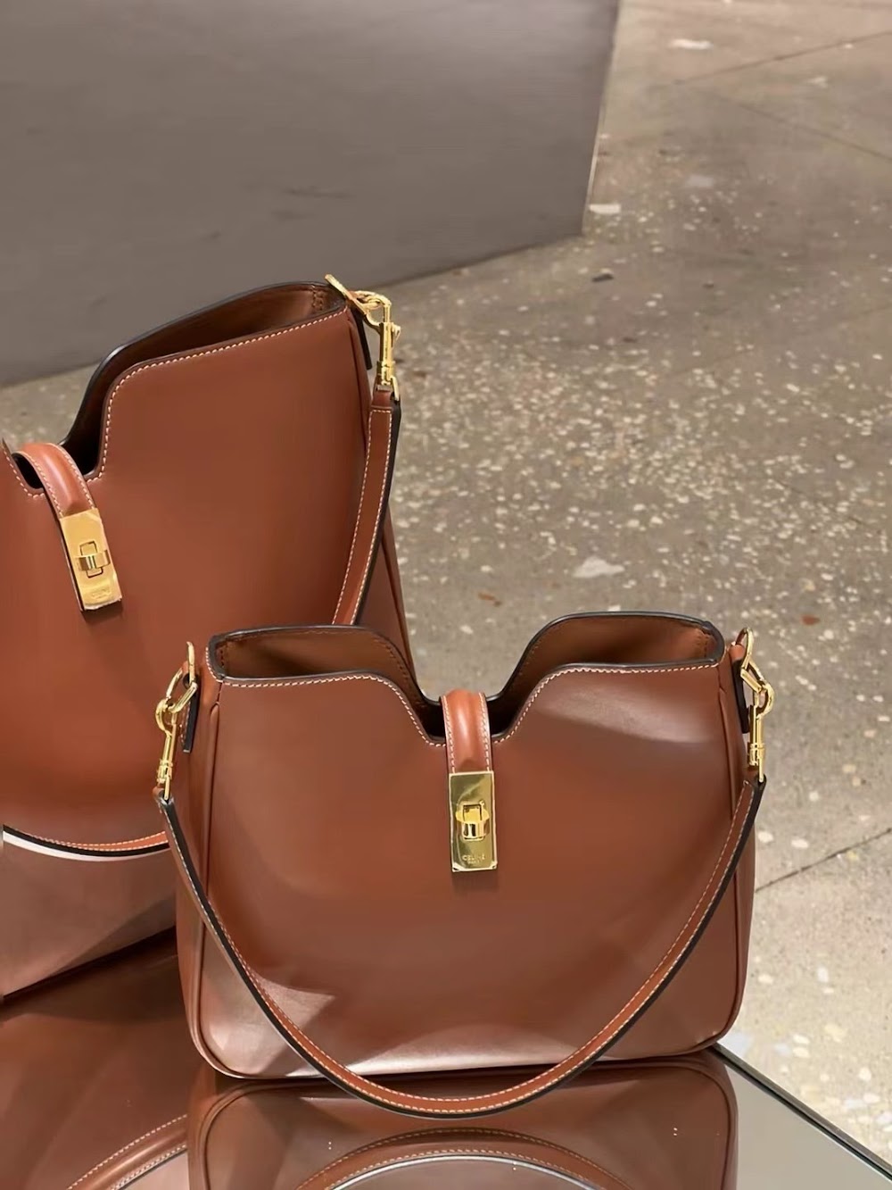 Dragons Bags Celine Luxury Bag --112345
