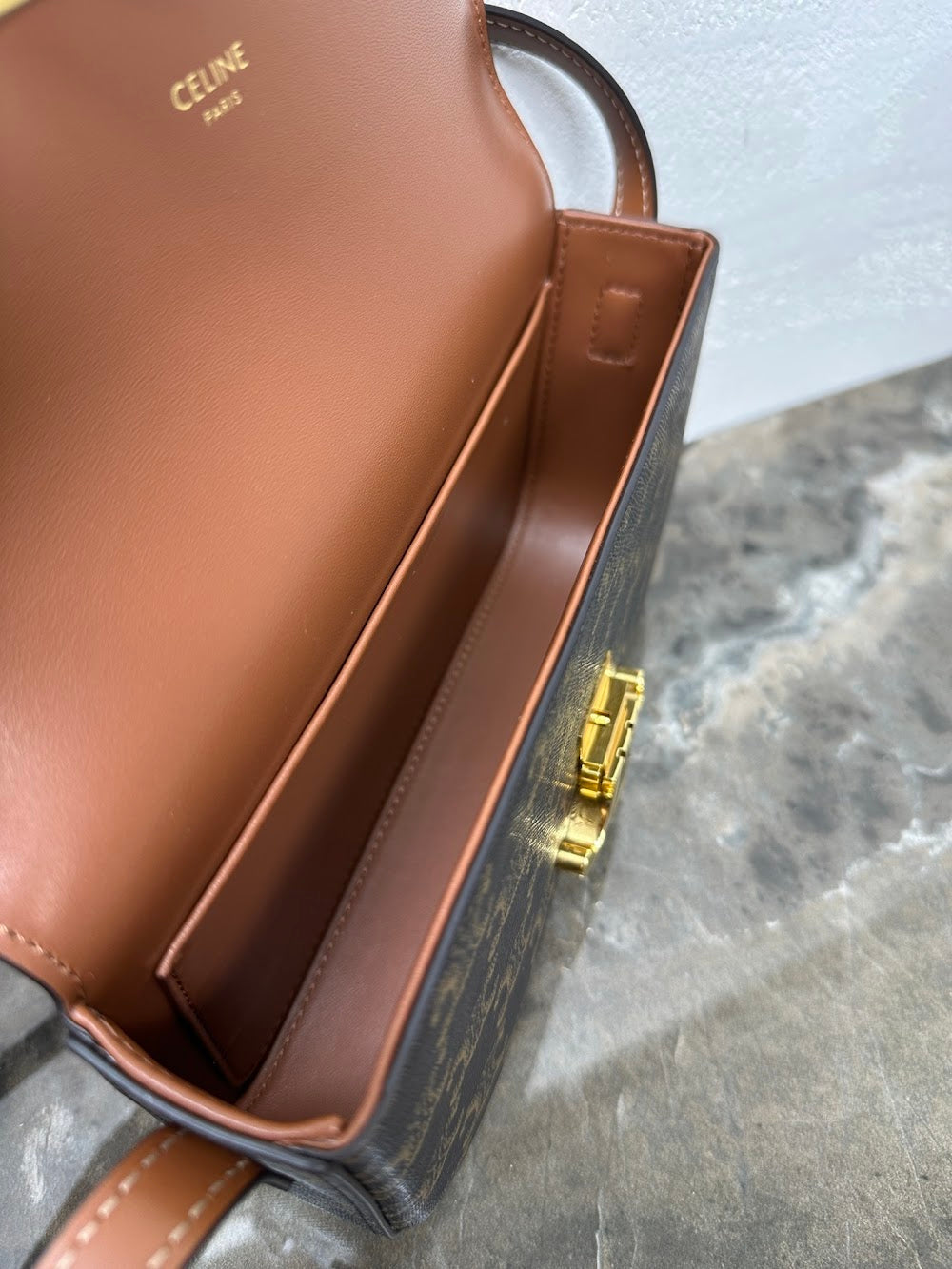 Dragons Bags Celine Luxury Bag --112428
