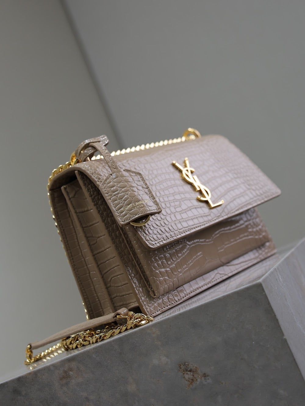 Dragons Bags YSLn Luxury Bag --119534