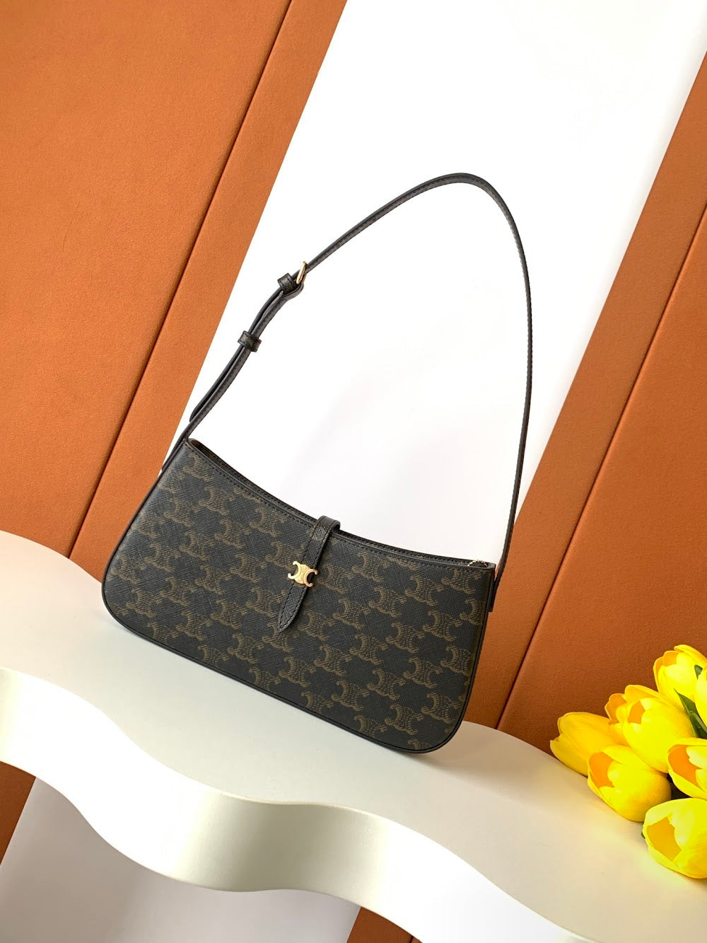 Dragons Bags Celine Luxury Bag --112116
