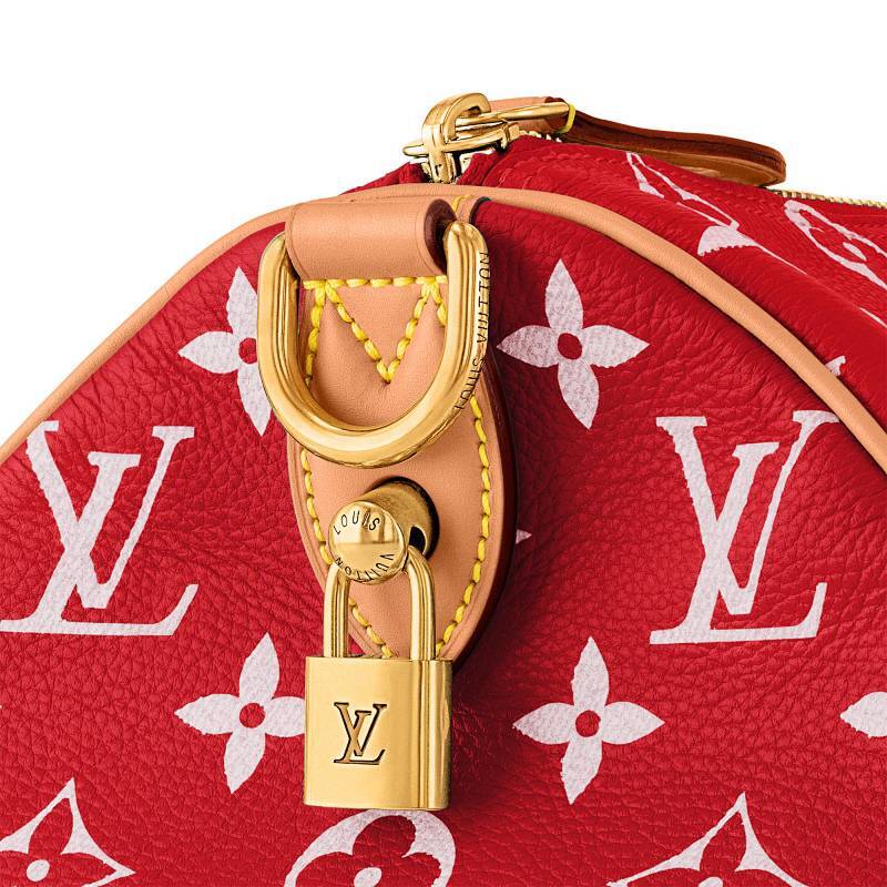 Dragons Bags ln Luxury Bag --68874
