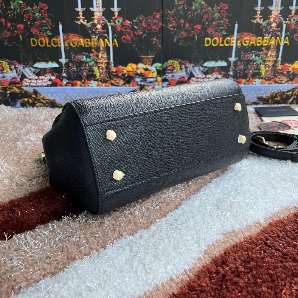 Dragons Bags DGn Luxury Bag --93991