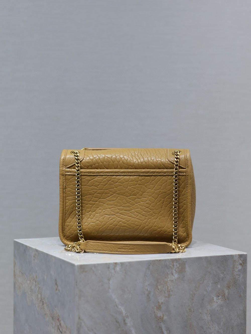 Dragons Bags YSLn Luxury Bag --119693