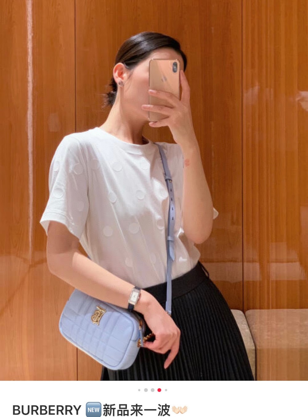 Dragons Bags Burberryn Luxury Bag --91675