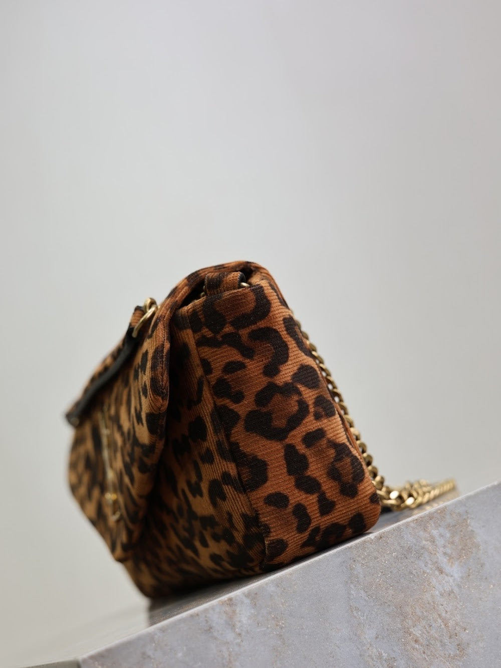 Dragons Bags YSLn Luxury Bag --119363