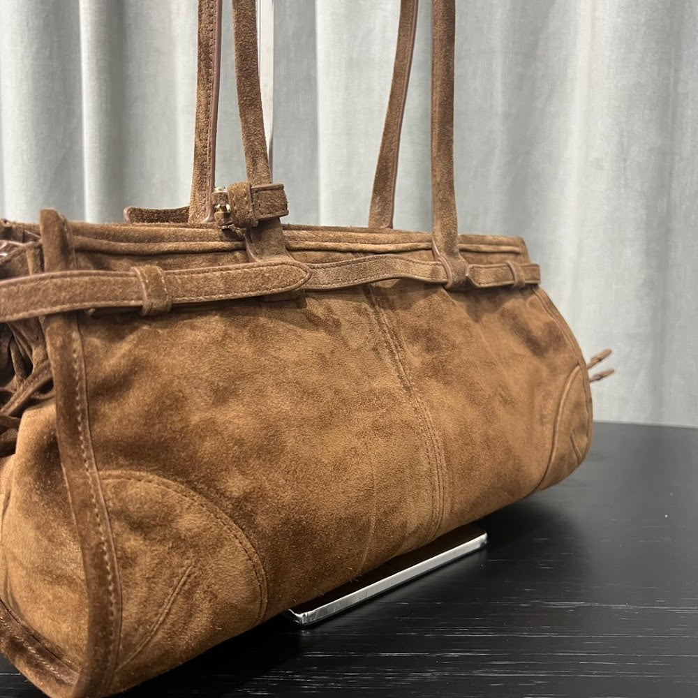Dragons Bags Pradn Luxury Bag --102012