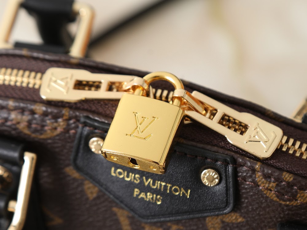 Dragons Bags LVn Luxury Bag --79902