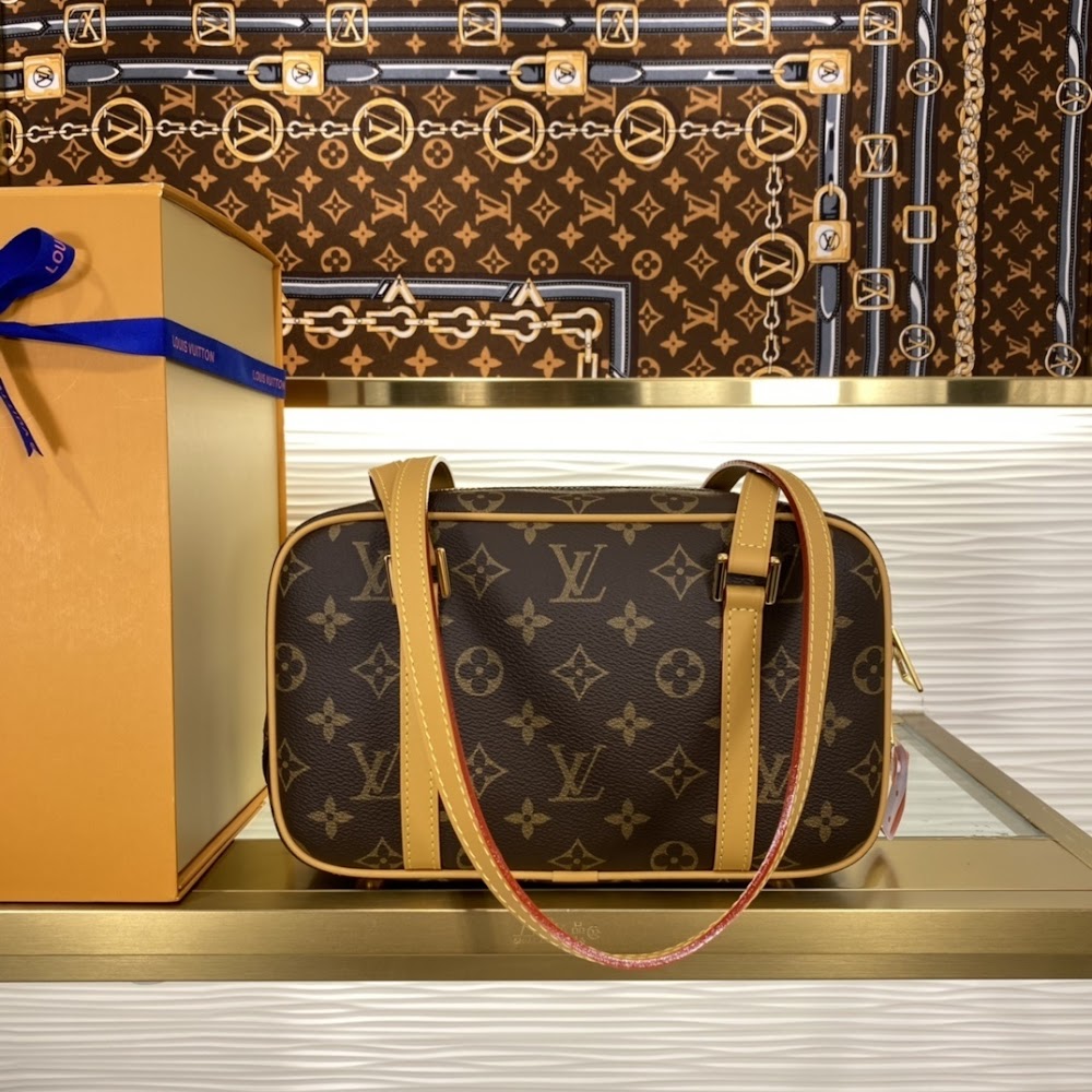 Dragons Bags LVn Luxury Bag --81127