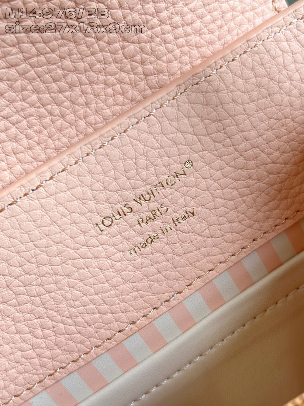 Dragons Bags ln Luxury Bag --97554