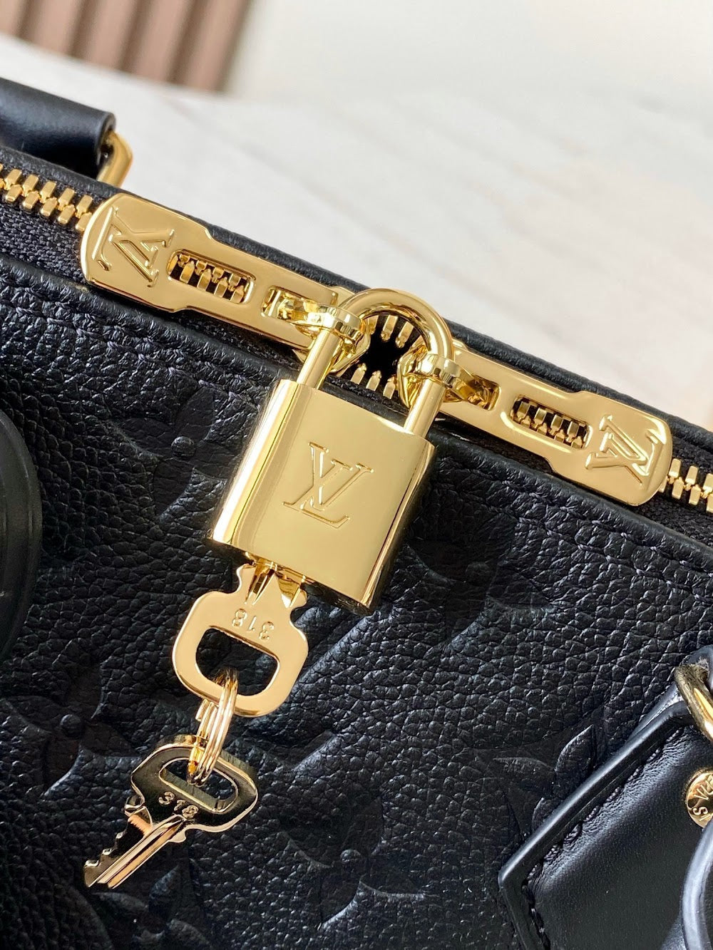 Dragons Bags ln Luxury Bag --95690
