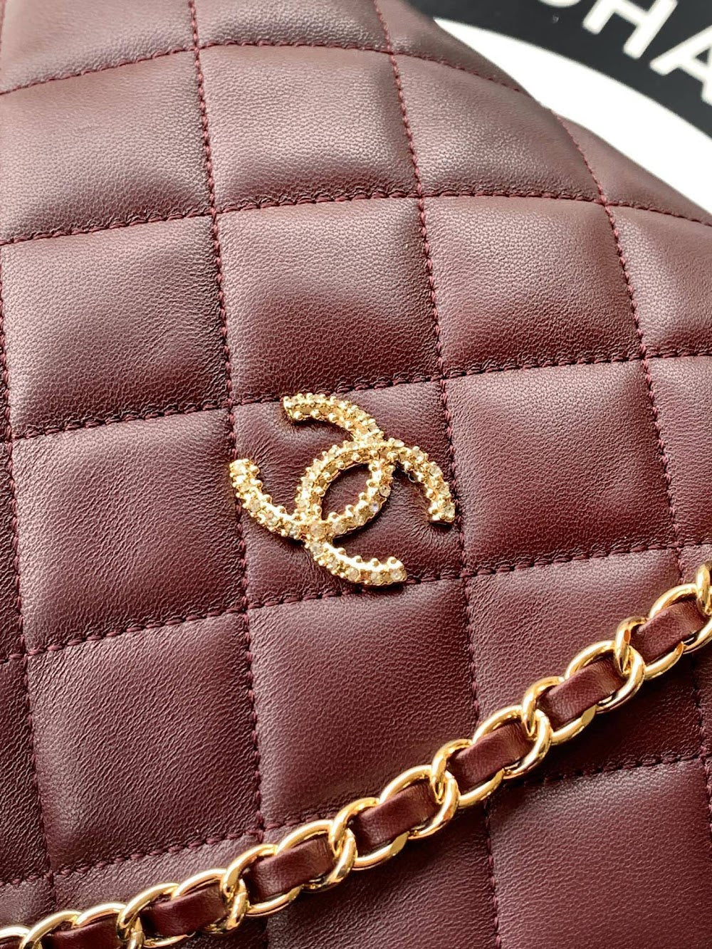 Dragons Bags CHn Luxury Bag --112788