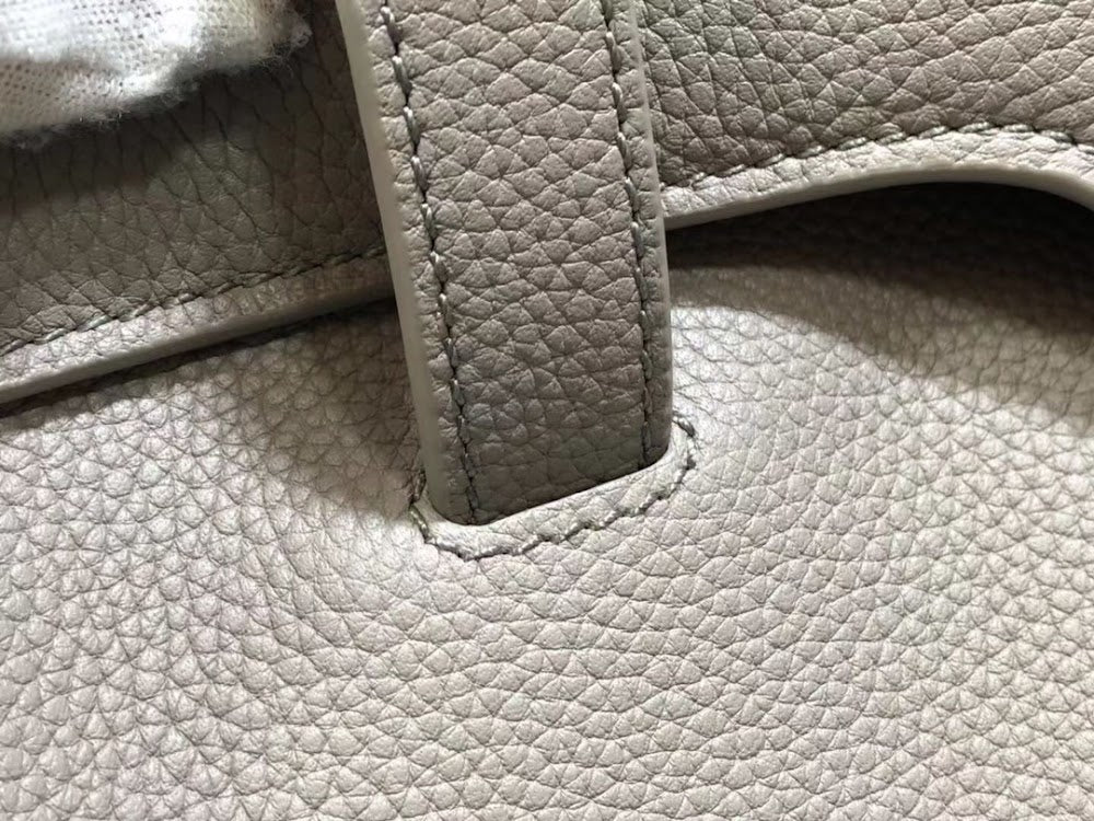Dragons Bags Celine Luxury Bag --112415