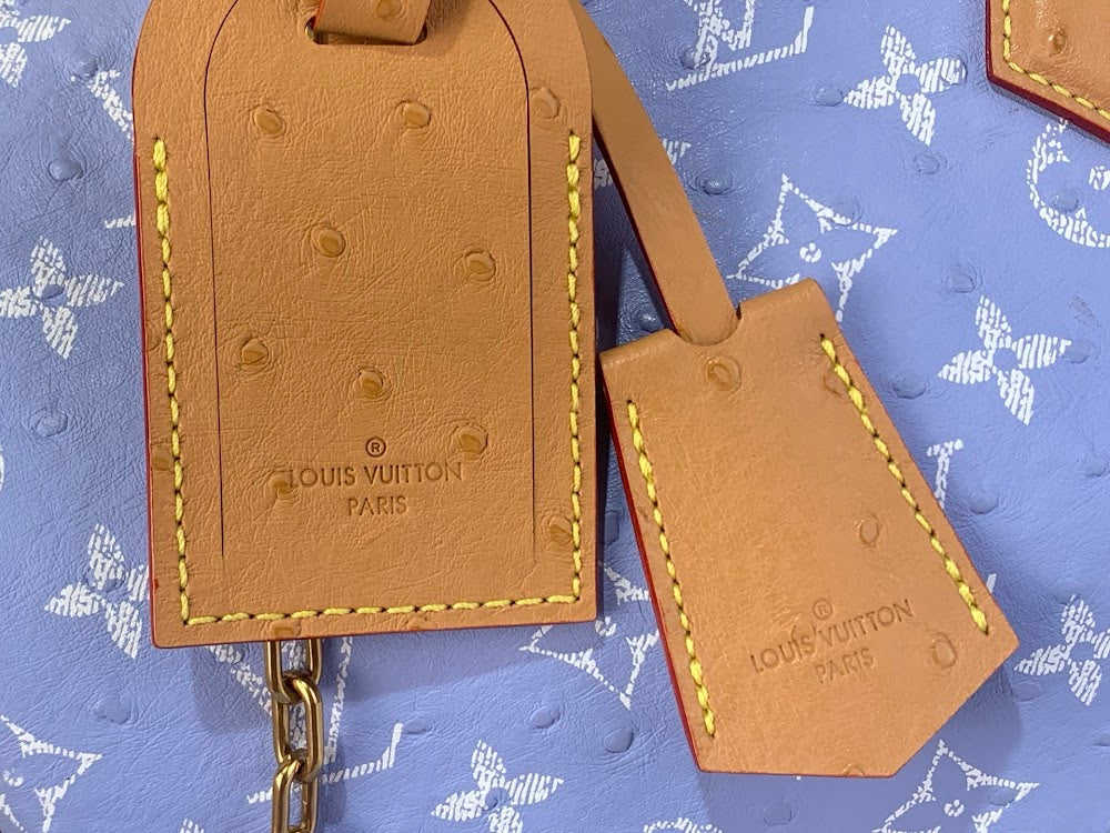Dragons Bags ln Luxury Bag --97592