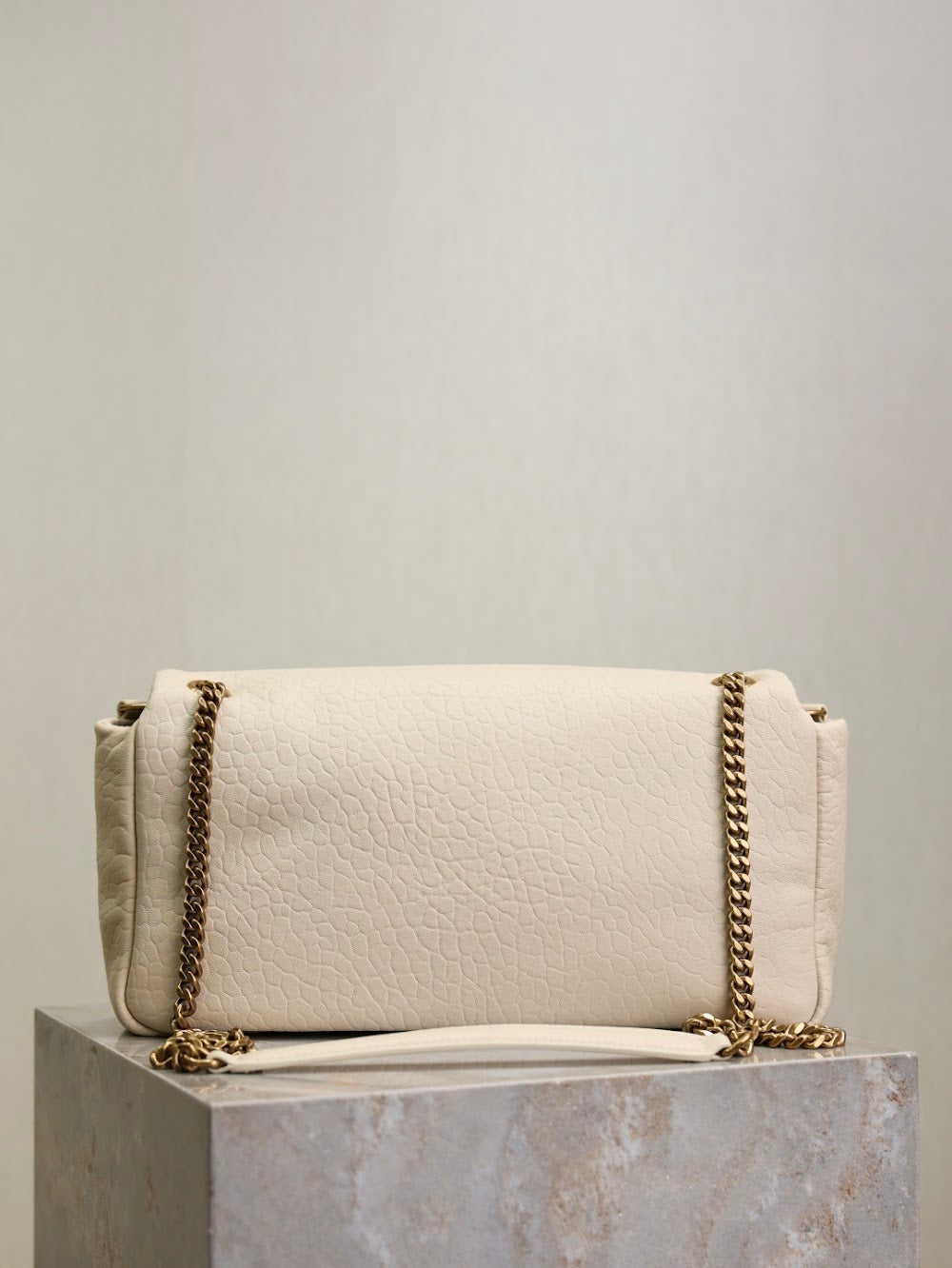 Dragons Bags YSLn Luxury Bag --119244