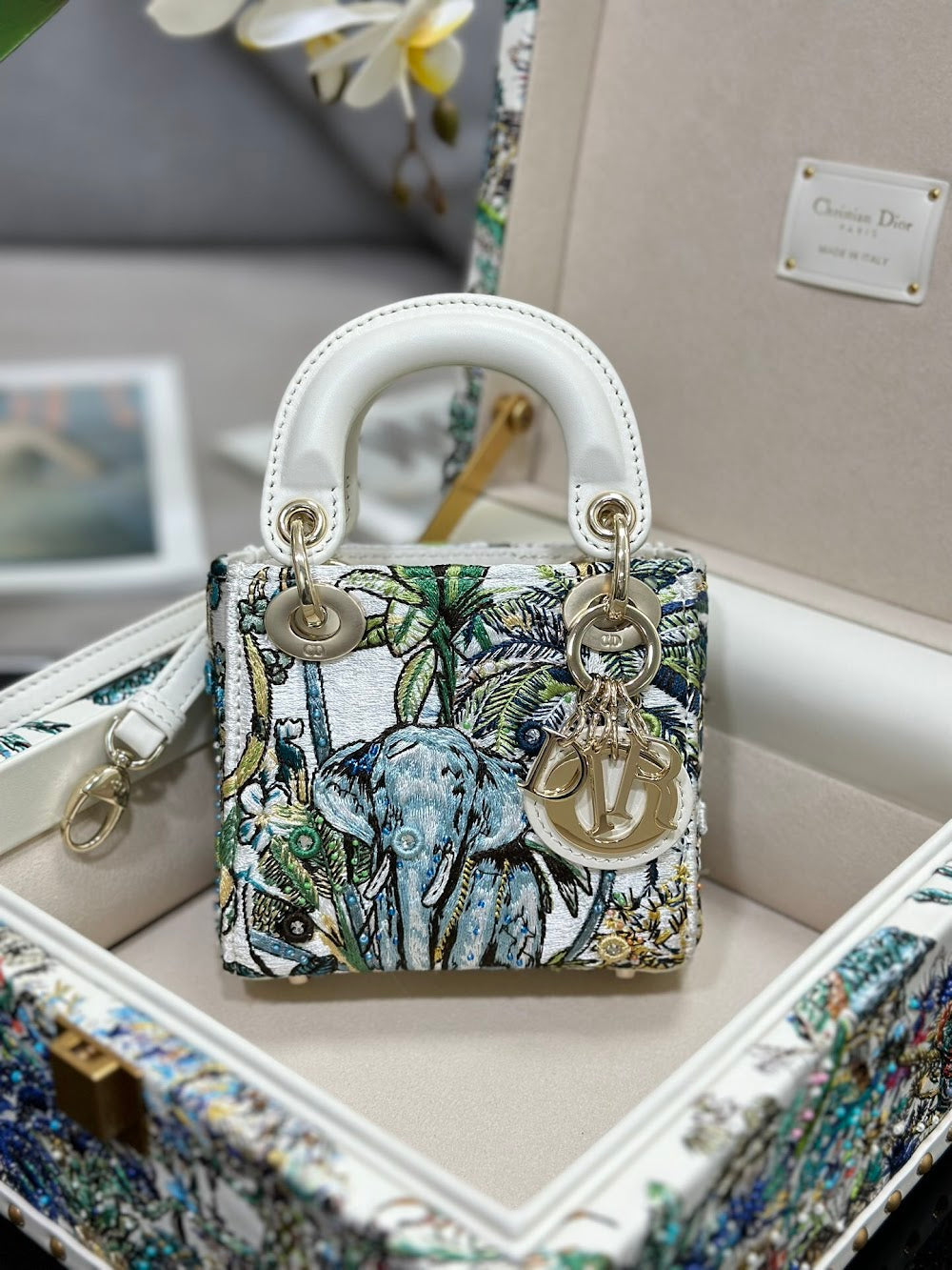 Dragons BagsDiorn Luxury Bag --114460