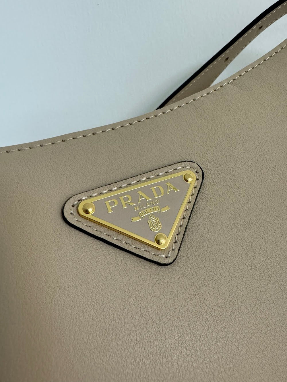 Dragons Bags Pradn Luxury Bag --102562