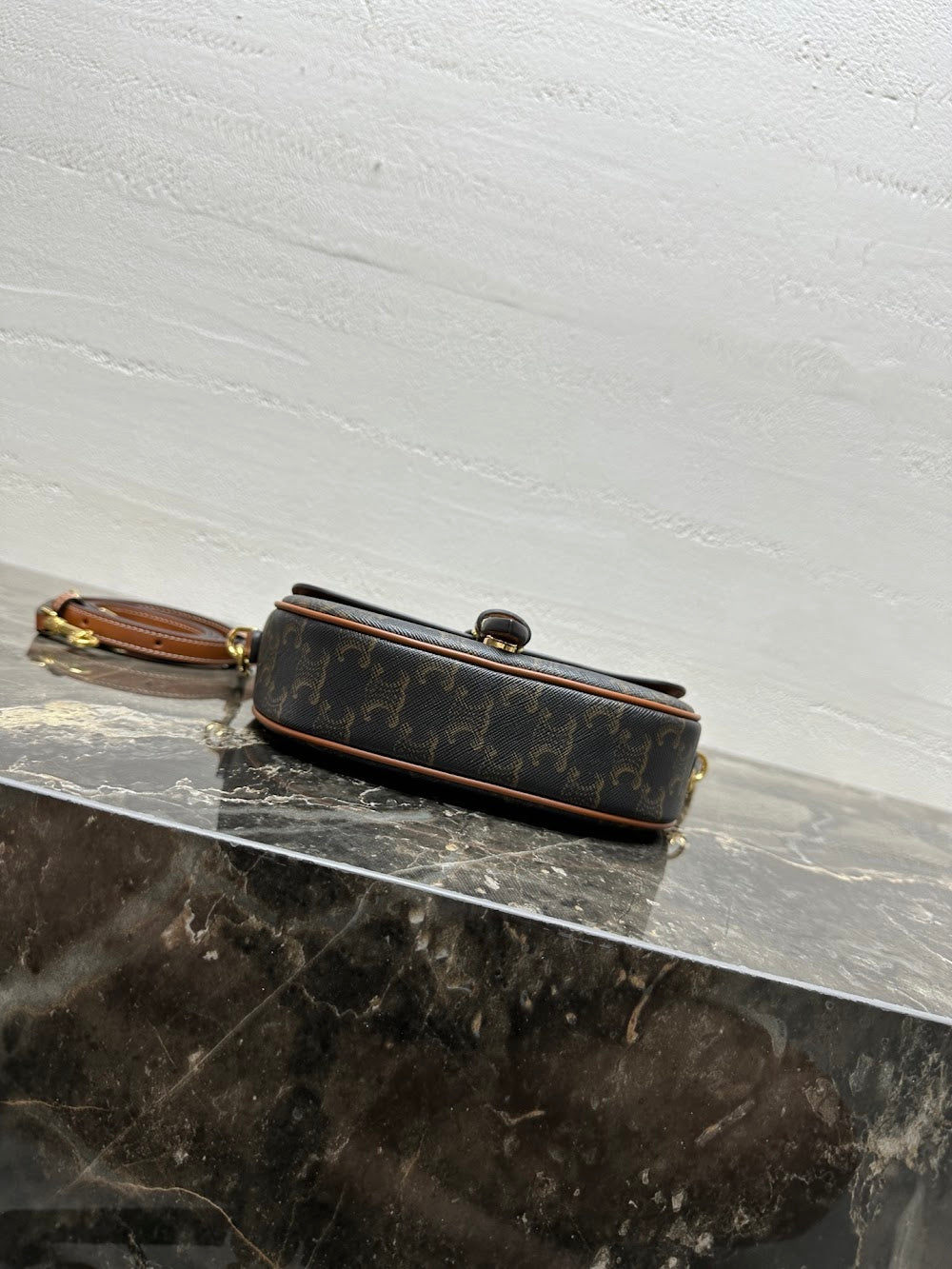 Dragons Bags Celine Luxury Bag --112350