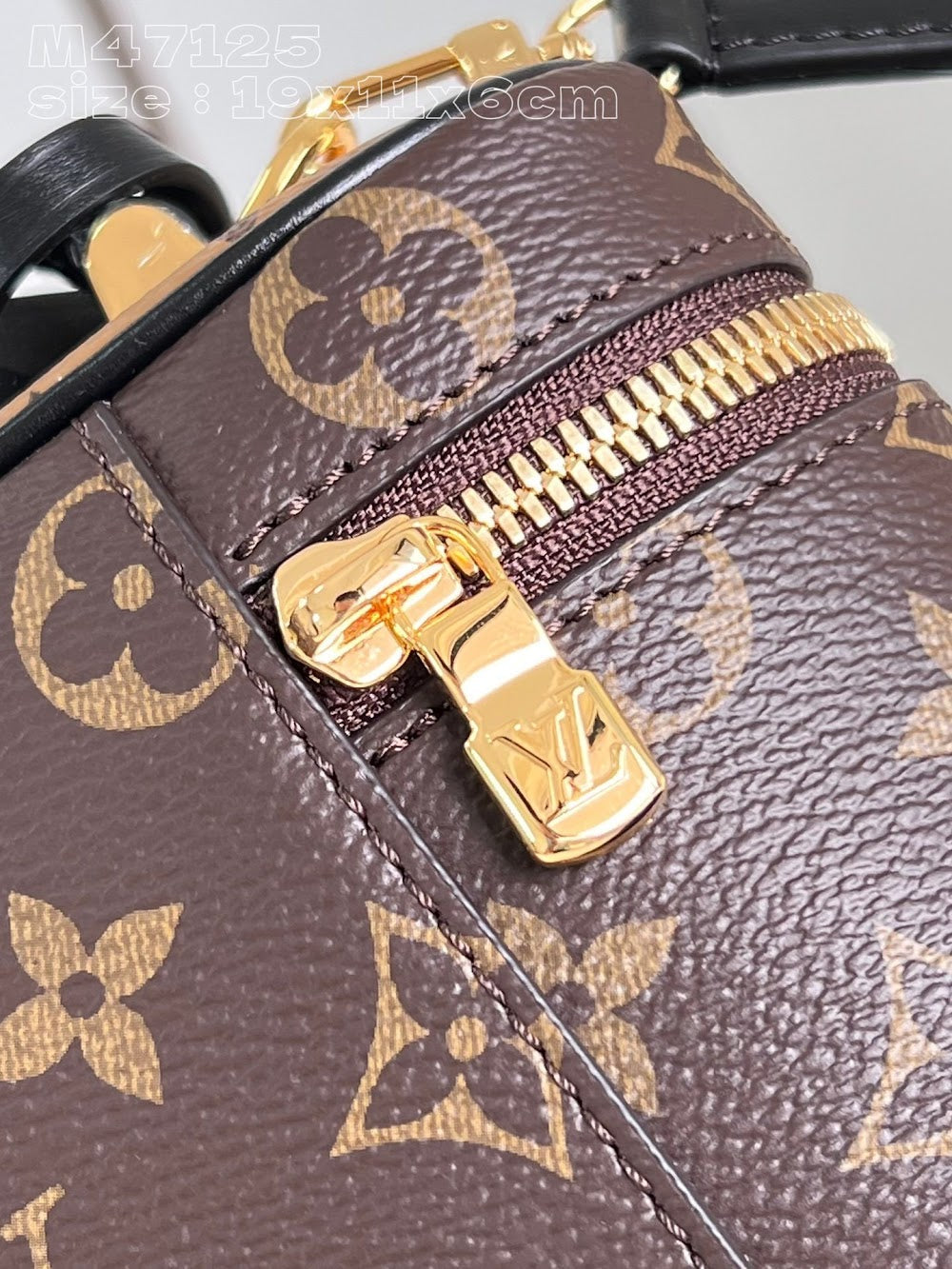 Dragons Bags ln Luxury Bag --95757