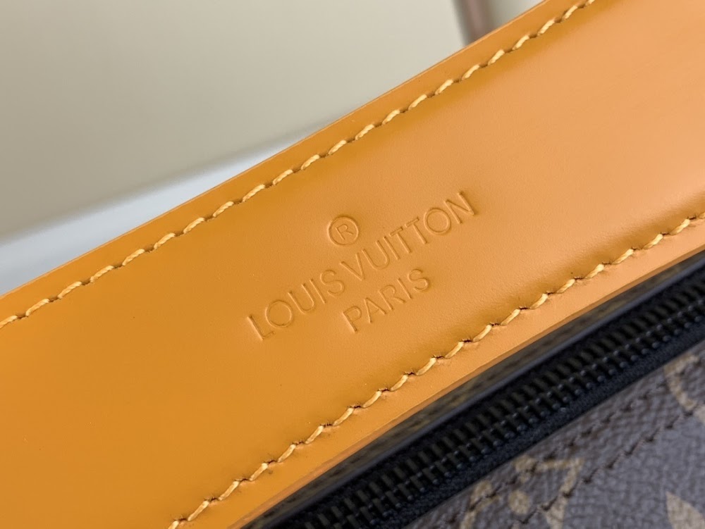Dragons Bags ln Luxury Bag --61955