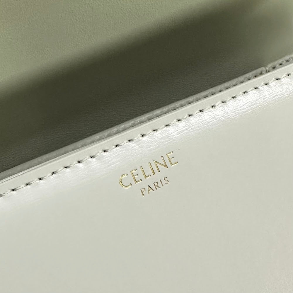 Dragons Bags Celine Luxury Bag --111982