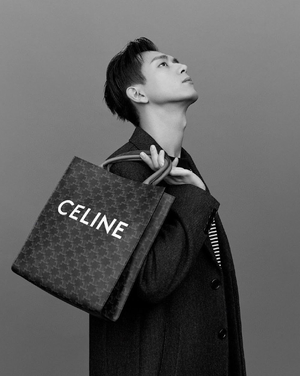 Dragons Bags Celine Luxury Bag --111942