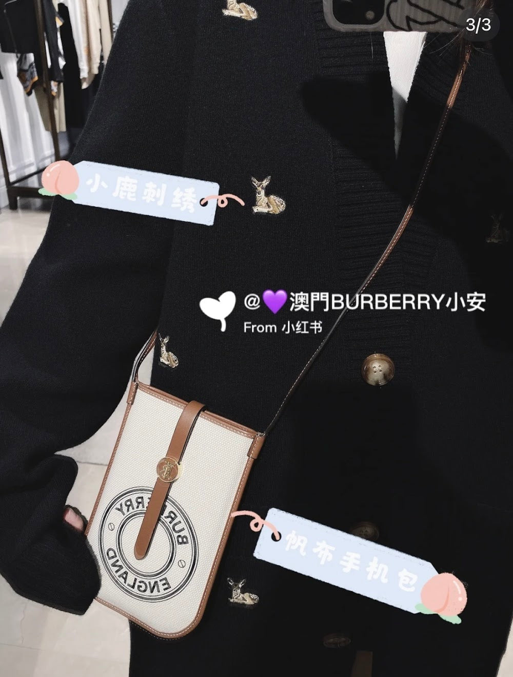 Dragons Bags Burberryn Luxury Bag --93091