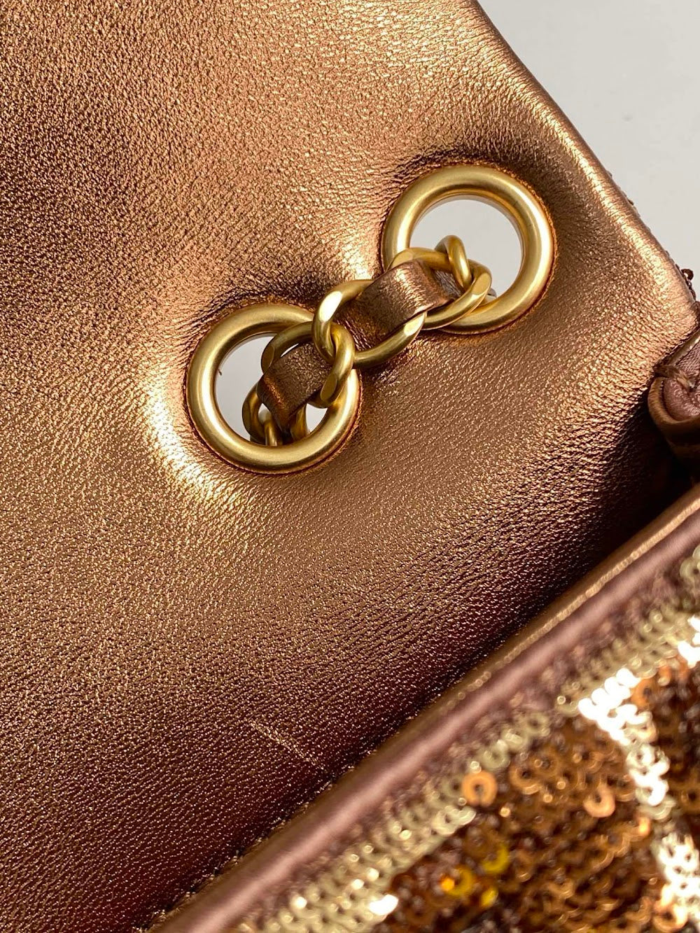 Dragons BagsCHn Luxury Bag --114182