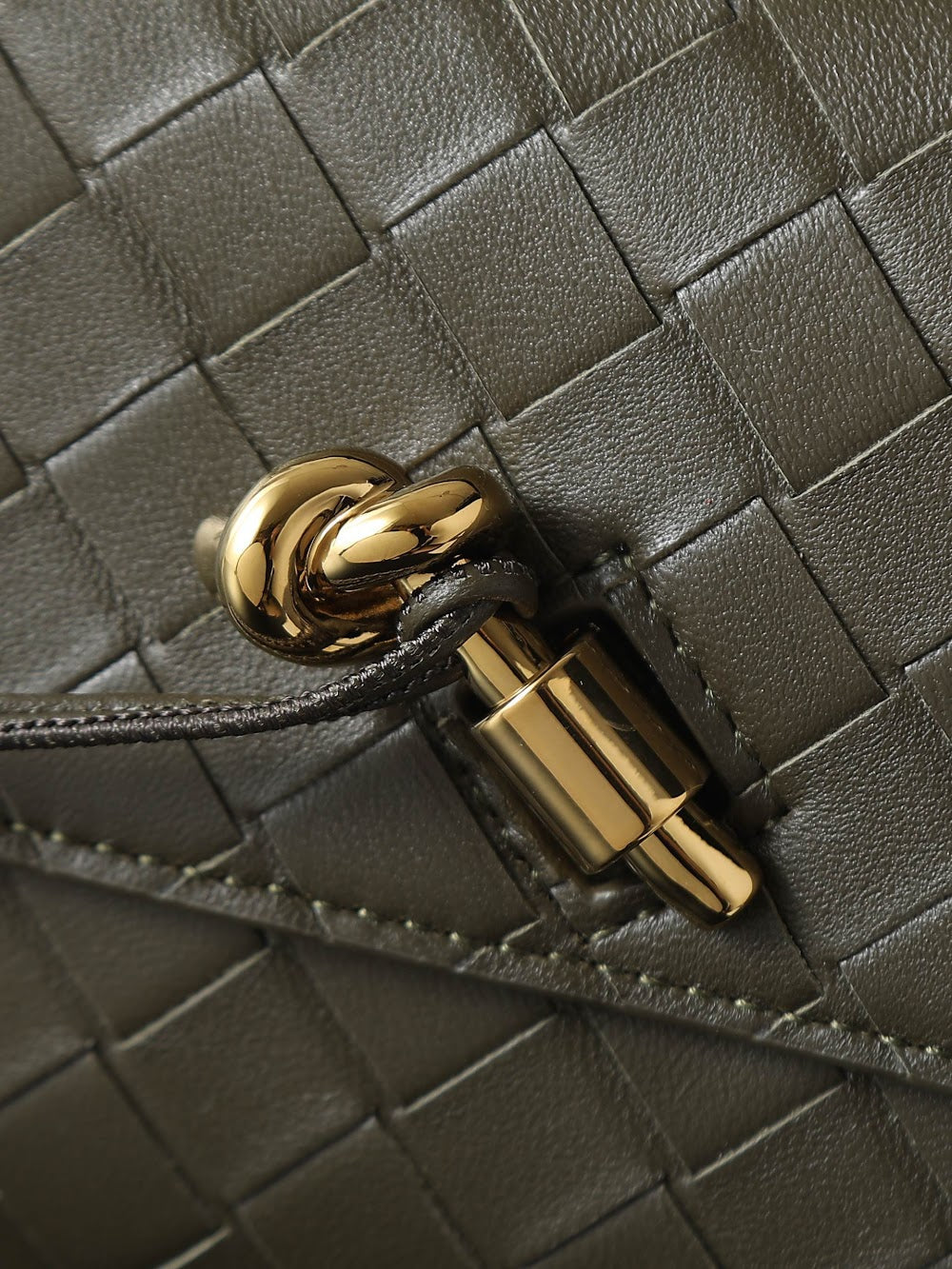 Dragons Bags Bottegan Luxury Bag --91395
