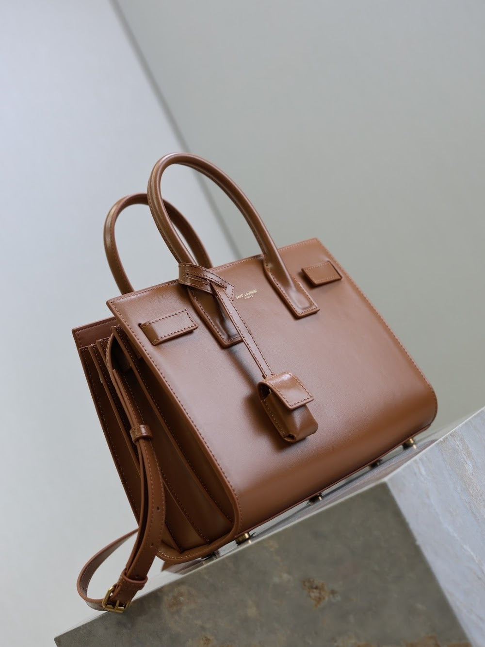 Dragons Bags YSLn Luxury Bag --119616