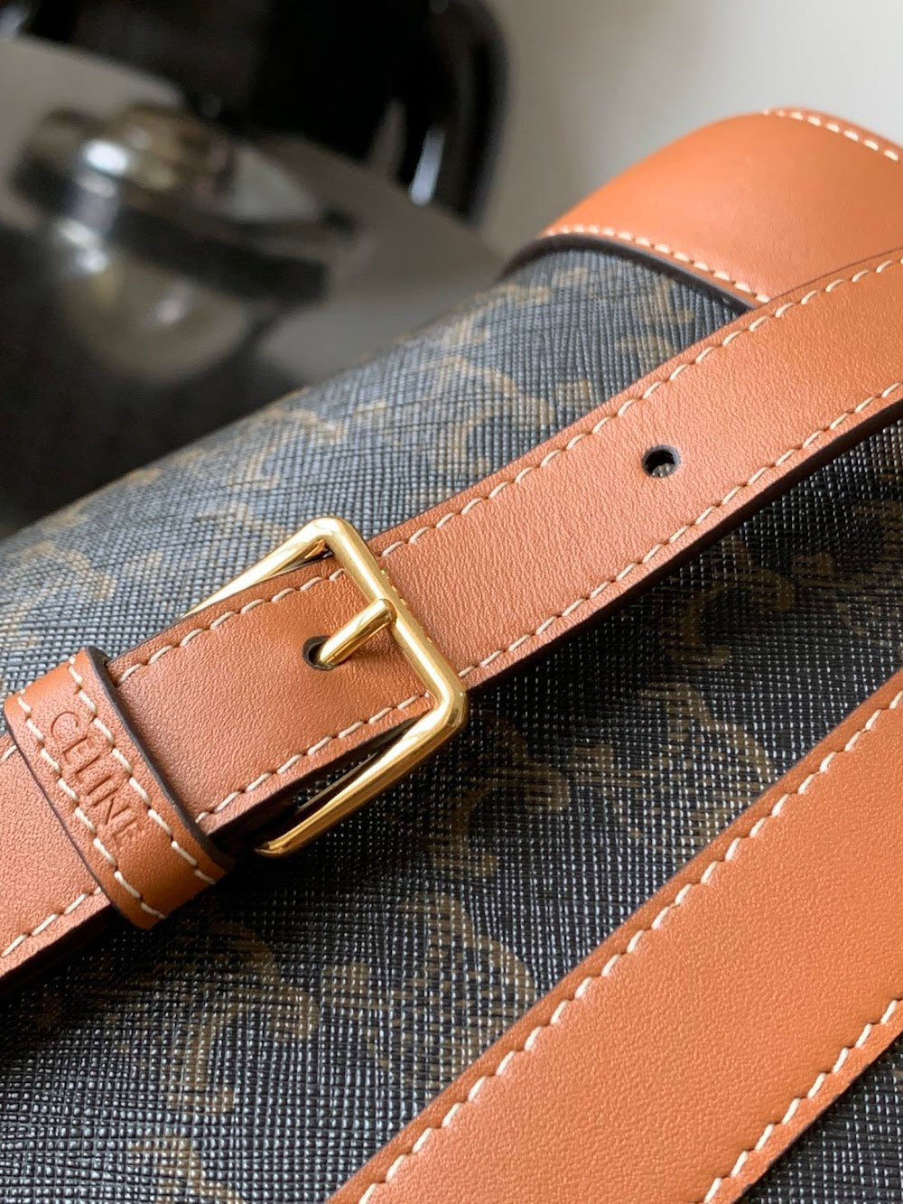 Dragons Bags Celine Luxury Bag --112578
