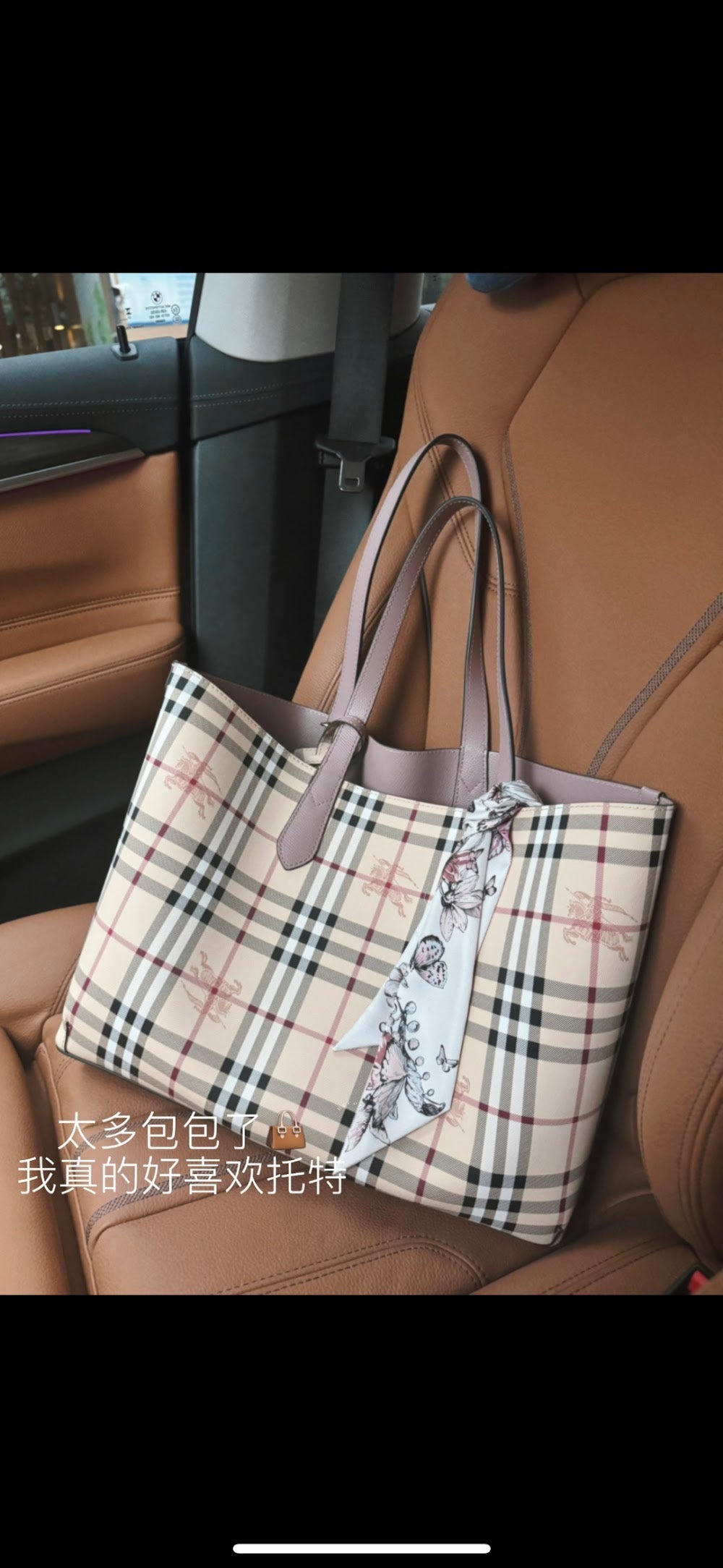 Dragons Bags Burberryn Luxury Bag --91684