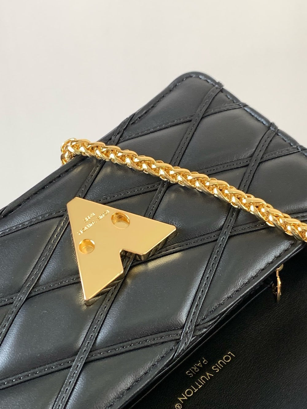 Dragons Bags LVn Luxury Bag --80376