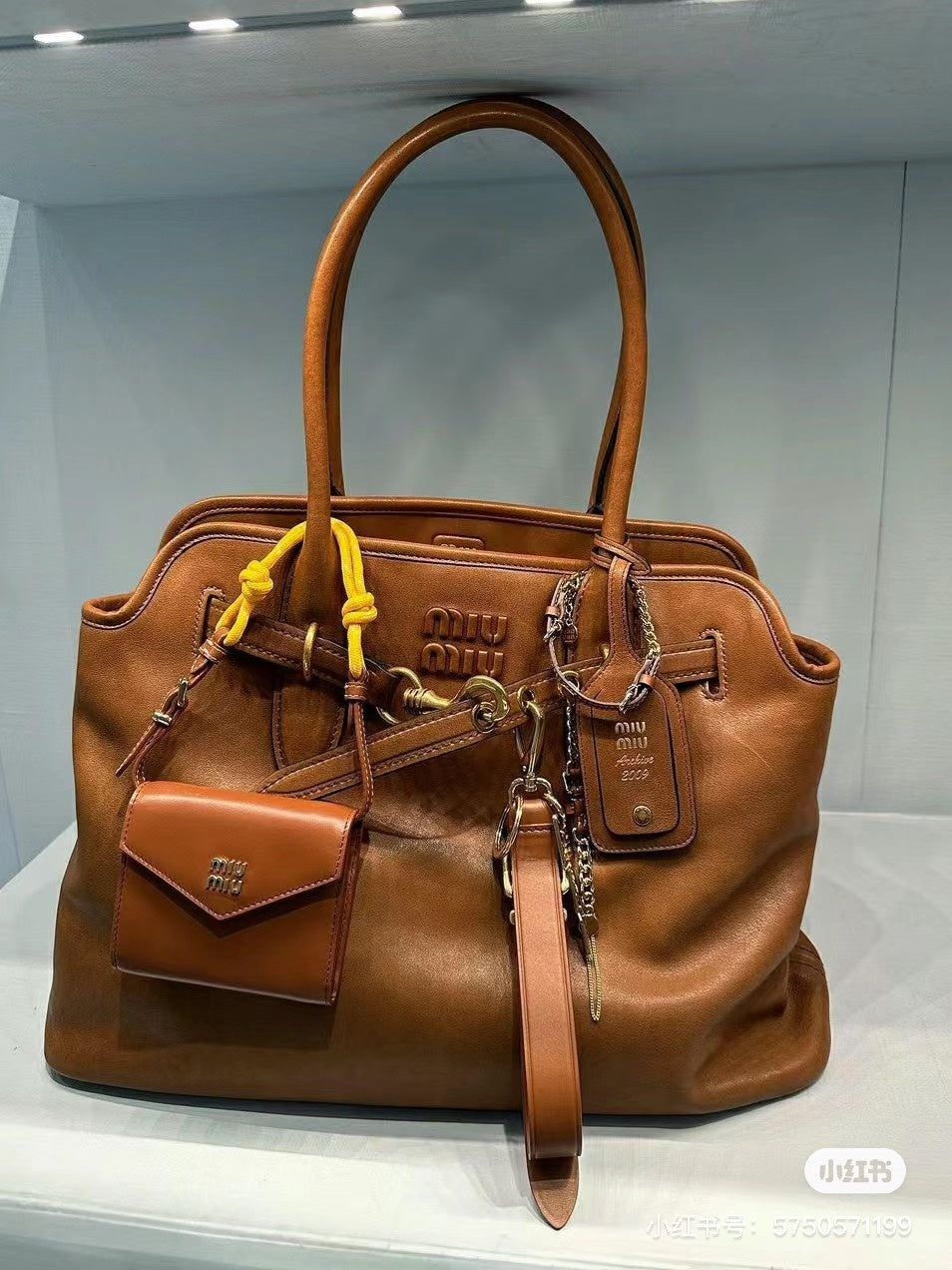 Dragons Bags Miun Miun Luxury Bag --122449