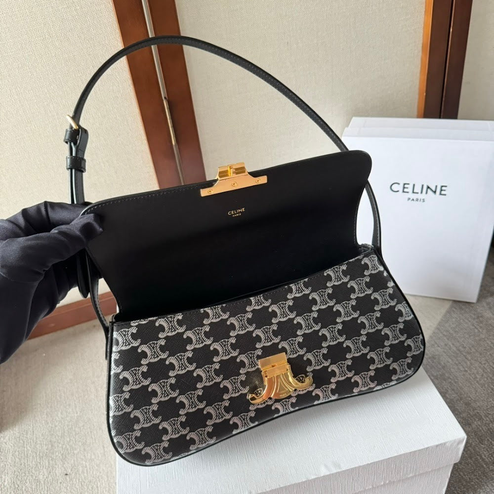 Dragons Bags Celine Luxury Bag --112507