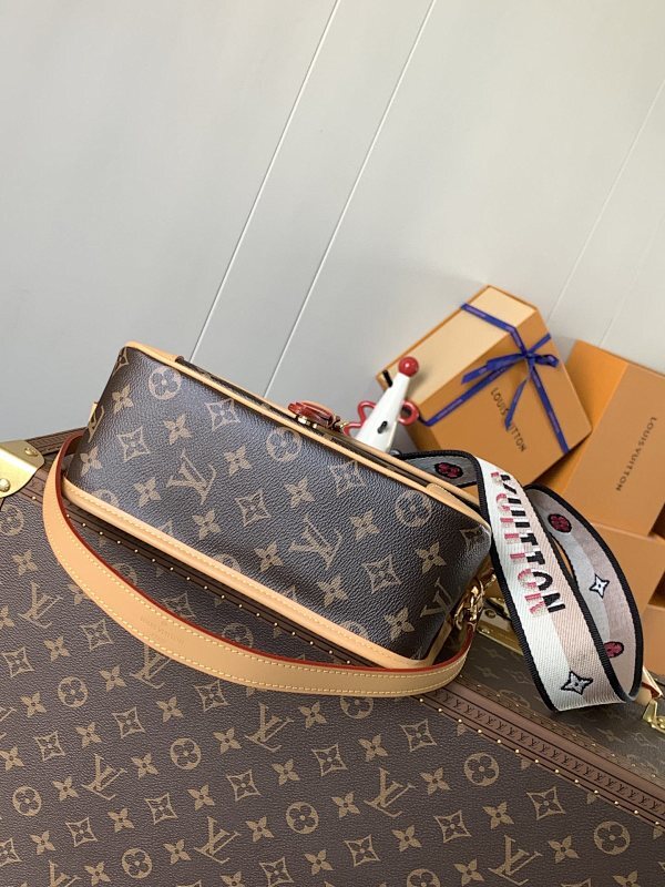 Dragons Bags LVn Luxury Bag --79244