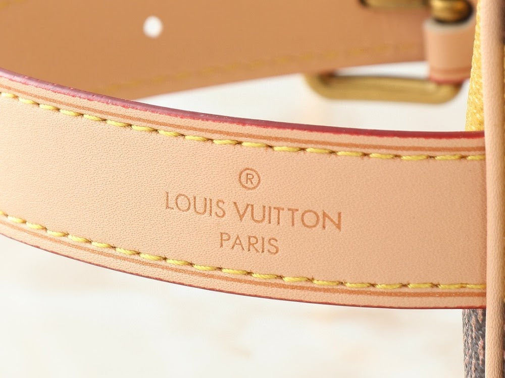 Dragons Bags ln Luxury Bag --76549