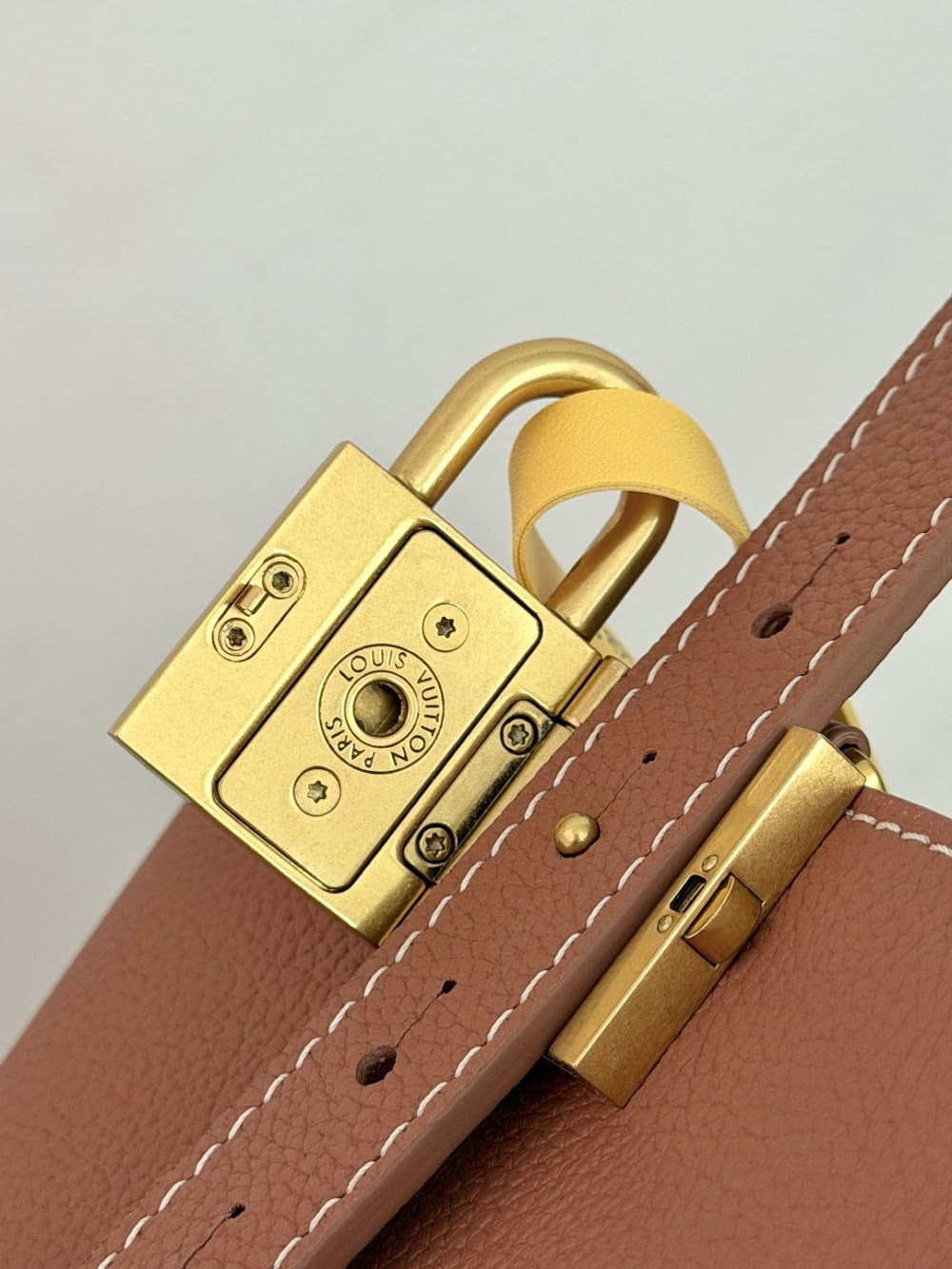 Dragons Bags ln Luxury Bag --96381