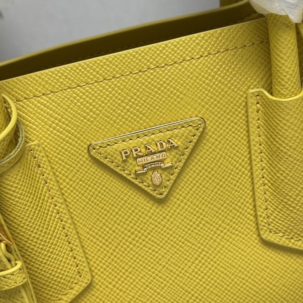 Dragons Bags Pradn Luxury Bag --102318