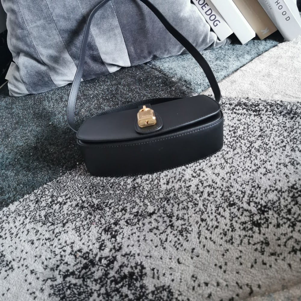 Dragons Bags Celine Luxury Bag --112163