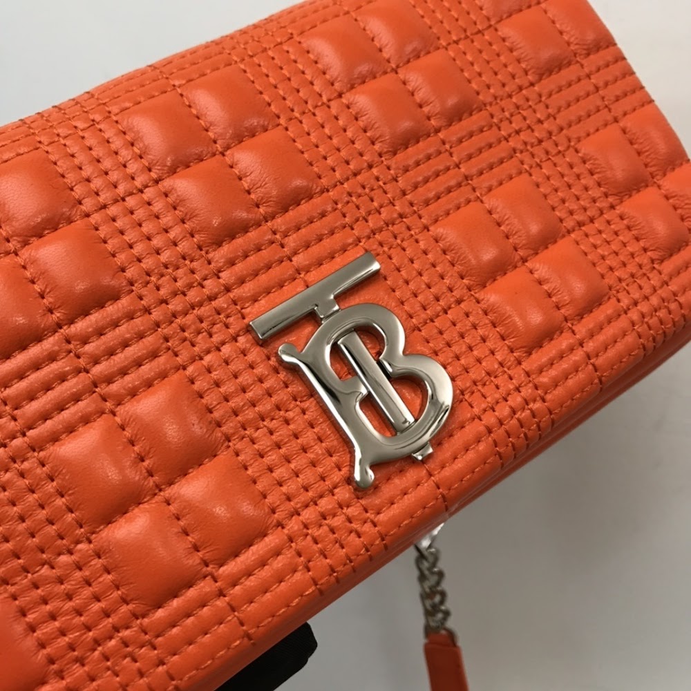 new-luxury-designer-bags-nm10475