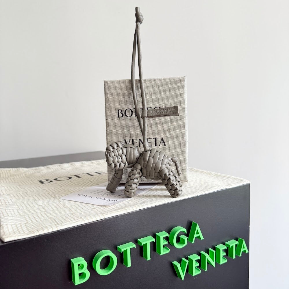 Dragons Bags Bottegan Luxury Bag --91434